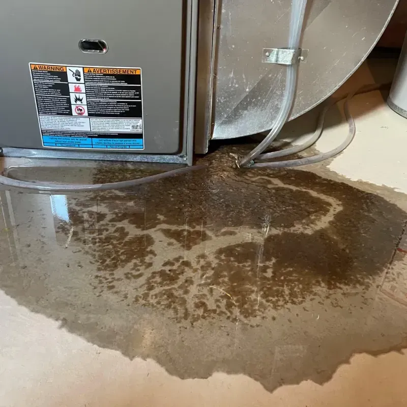 Appliance Leak Cleanup in Drexel, NC